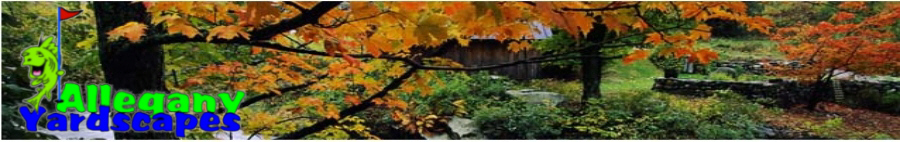 Allegany Yardscapes